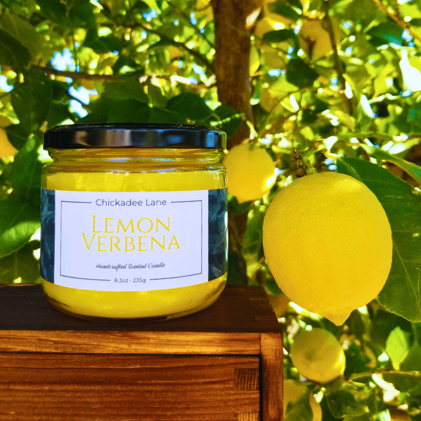 Lemon verbena candle sitting on a wooden crate within the branches of a lemon tree.