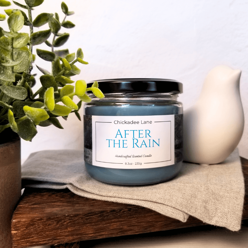 After the Rain candle sitting on a shelf between a plant and a porcelain bird.