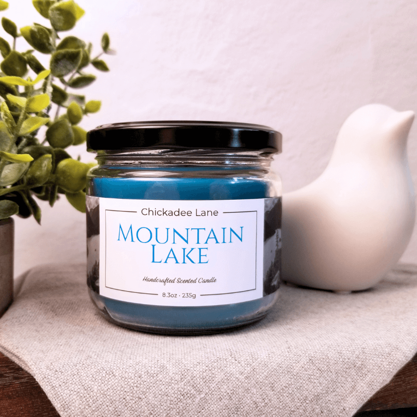Mountain Lake candle sitting on a shelf between a plant and a porcelain bird.