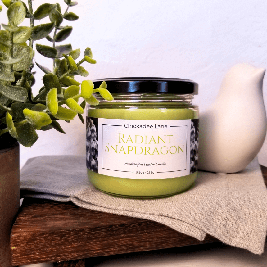 Radiant Snapdragon candle sitting on a shelf between a plant and a porcelain bird.