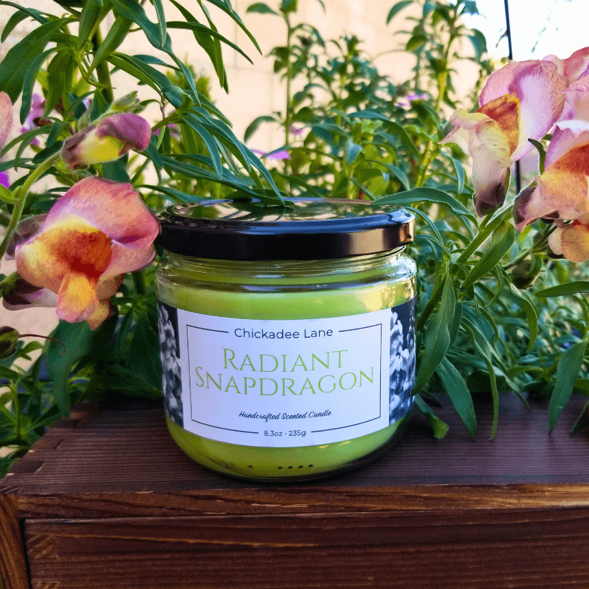 Radiant Snapdragon candle sitting on a wooden box surrounded by blooming snapdragon plants.